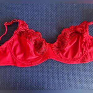 Elegant Red Lace Bra & Panty Set